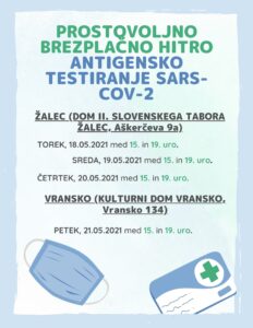 Light Blue and Green Protect Pregnant Women COVID Flyer (5)